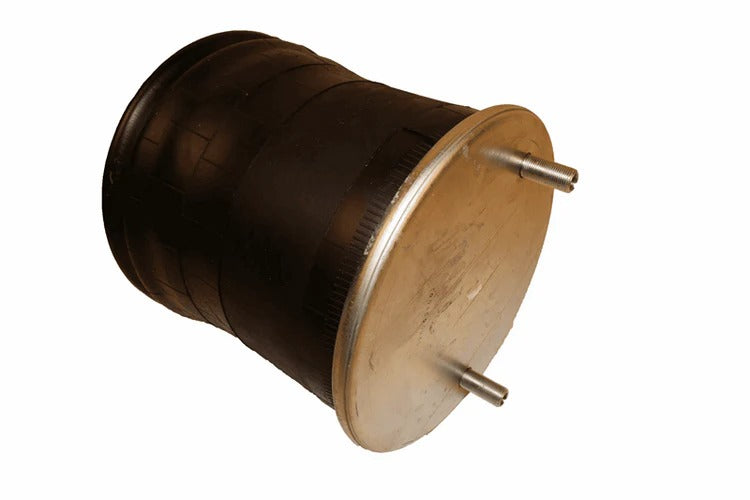 Air Spring Replacement for W01-358-8050