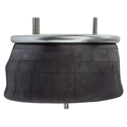 Air Spring Replacement for W01-358-8729