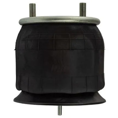 Air Spring Replacement for W01-358-9978
